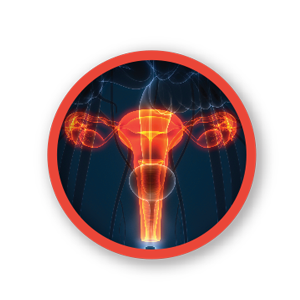 Fibroid Treatment button